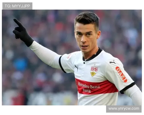 《德甲各支球队队服价格及其商业授权情况整理》