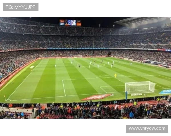 德甲18支球队官方队歌合集与背后故事揭秘