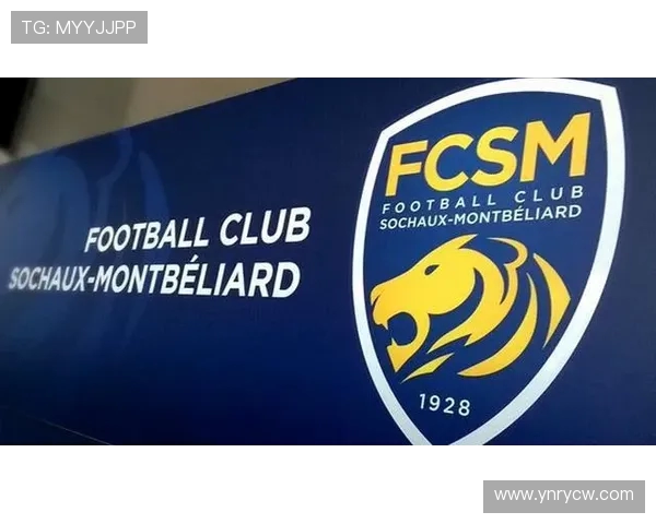 法甲外援市场潜力研究及其对球队未来发展的促进