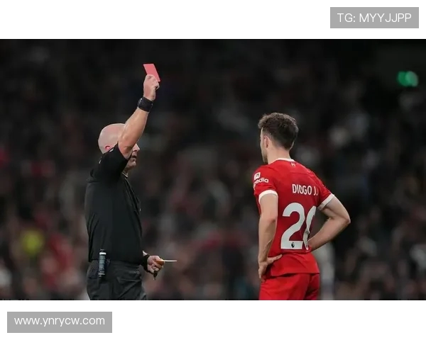 热刺向英超裁判公司投诉认为禁区判罚存在双重标准问题